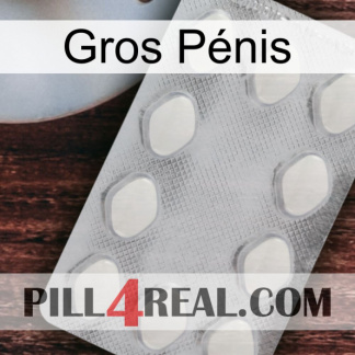 Gros Pénis 16